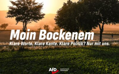 Infostand Bockenem mit Intensiven Gesprächen über geplante Windkraft