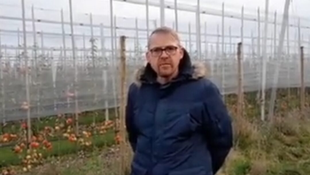 Obsthof soll 22.000 Apfelbäume fällen – für Photovoltaik