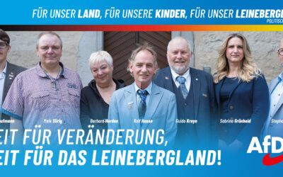 Wahlkampfauftakt der AfD Leinebergland